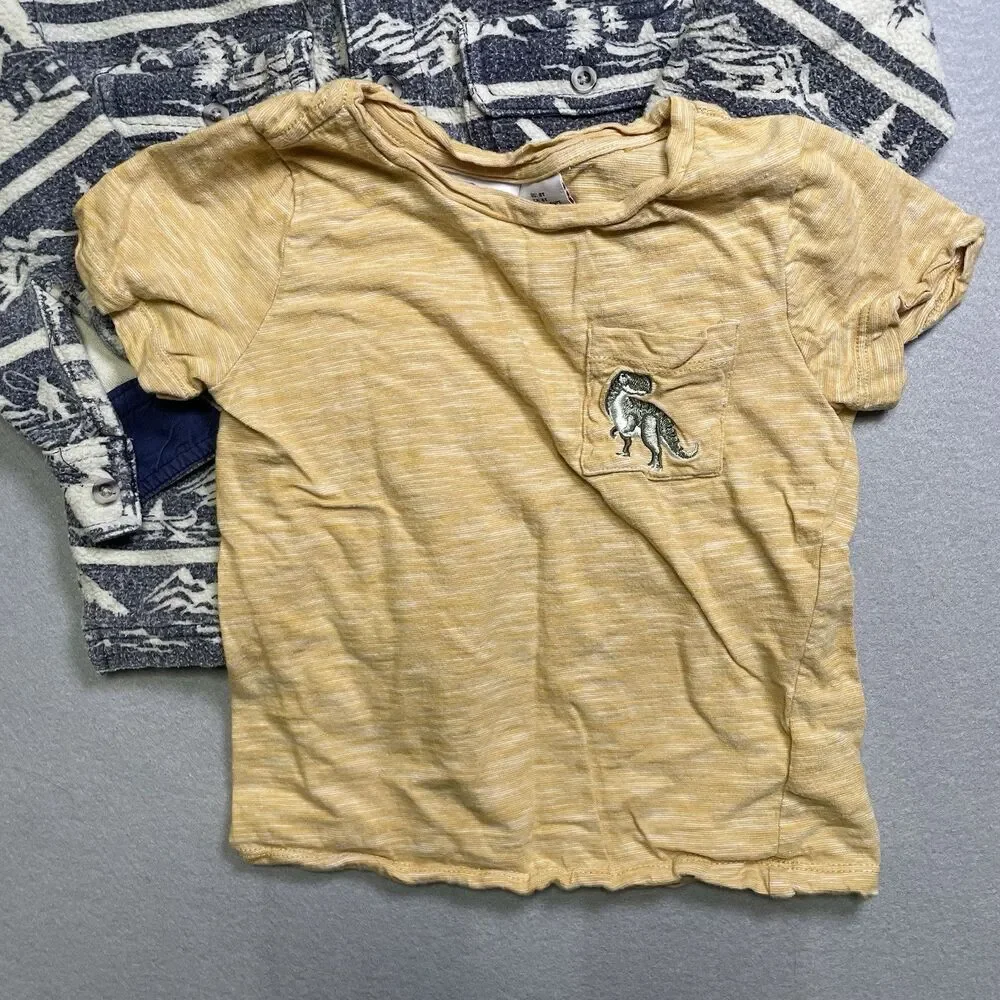 Boys Clothing 3T and 4T Nike H&M Tommy Bahama Hoodie Shorts Shirts - Picture 6 of 9